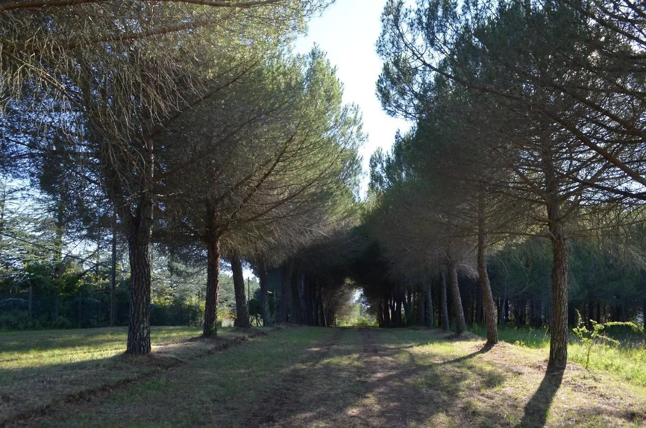 Bauernhof Agriturismo Le Case Di San Vivaldo Montaione Italien