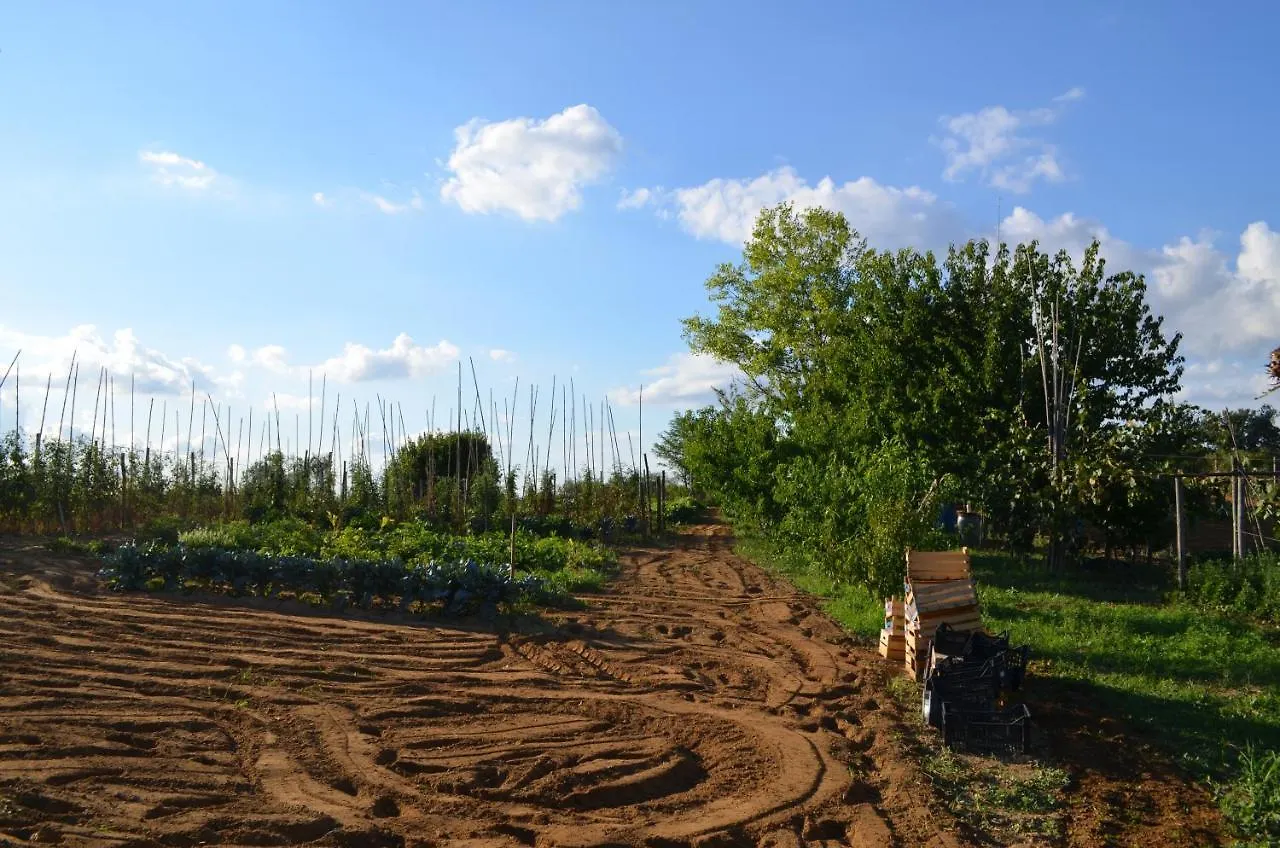Bauernhof Agriturismo Le Case Di San Vivaldo Montaione Italien